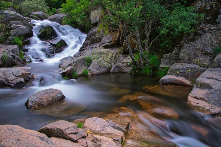 les aliments a eviter apres lʼablation de la thyroïde