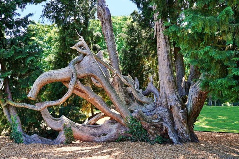 Bien manger avec Eliquis : les aliments déconseillés