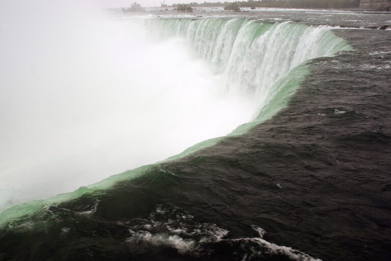 caséum aliments à éviter